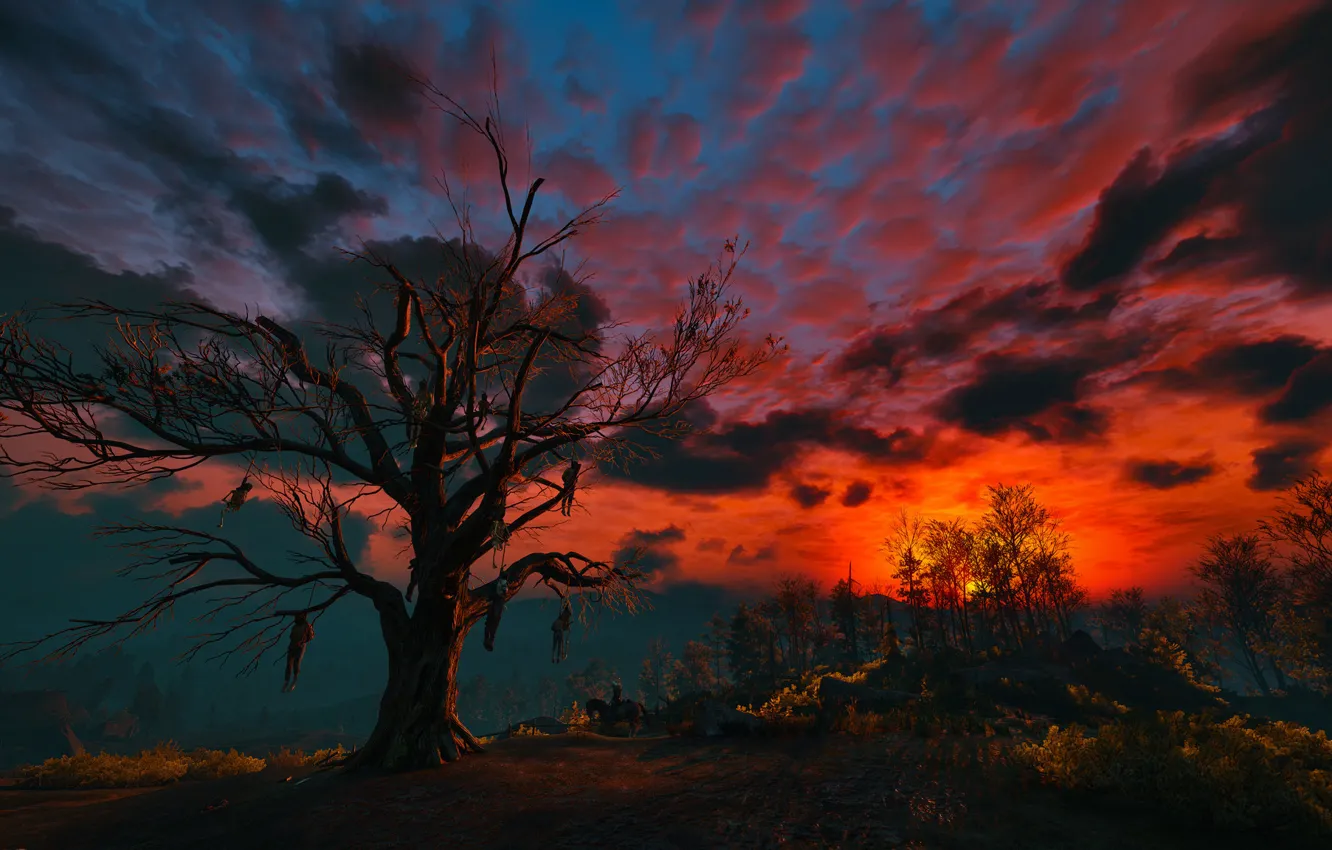 Photo wallpaper the sky, clouds, trees, night, The Witcher, gallows, The Witcher 3:Wild Hunt