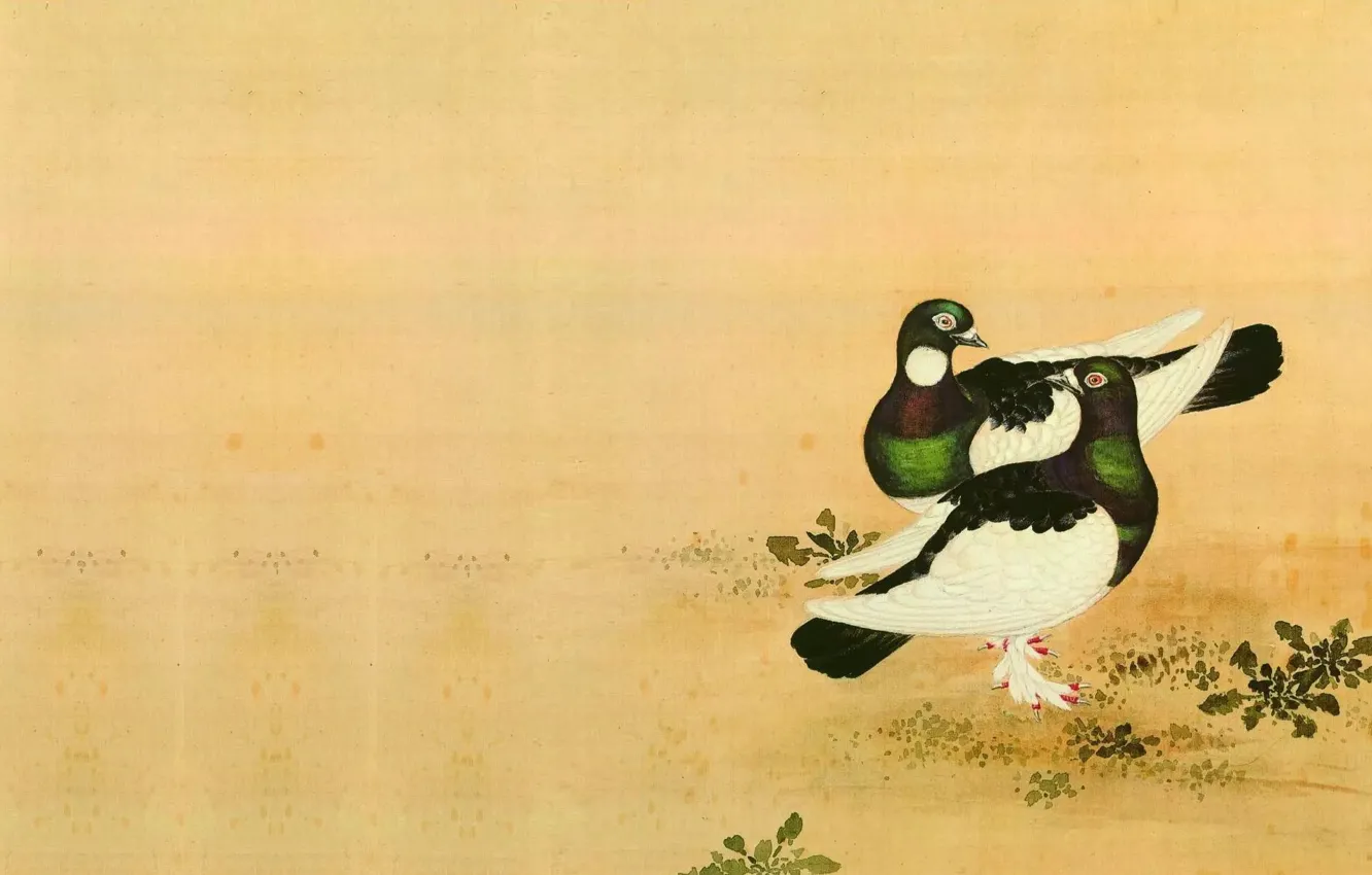 Photo wallpaper bird, figure, dove, art, China