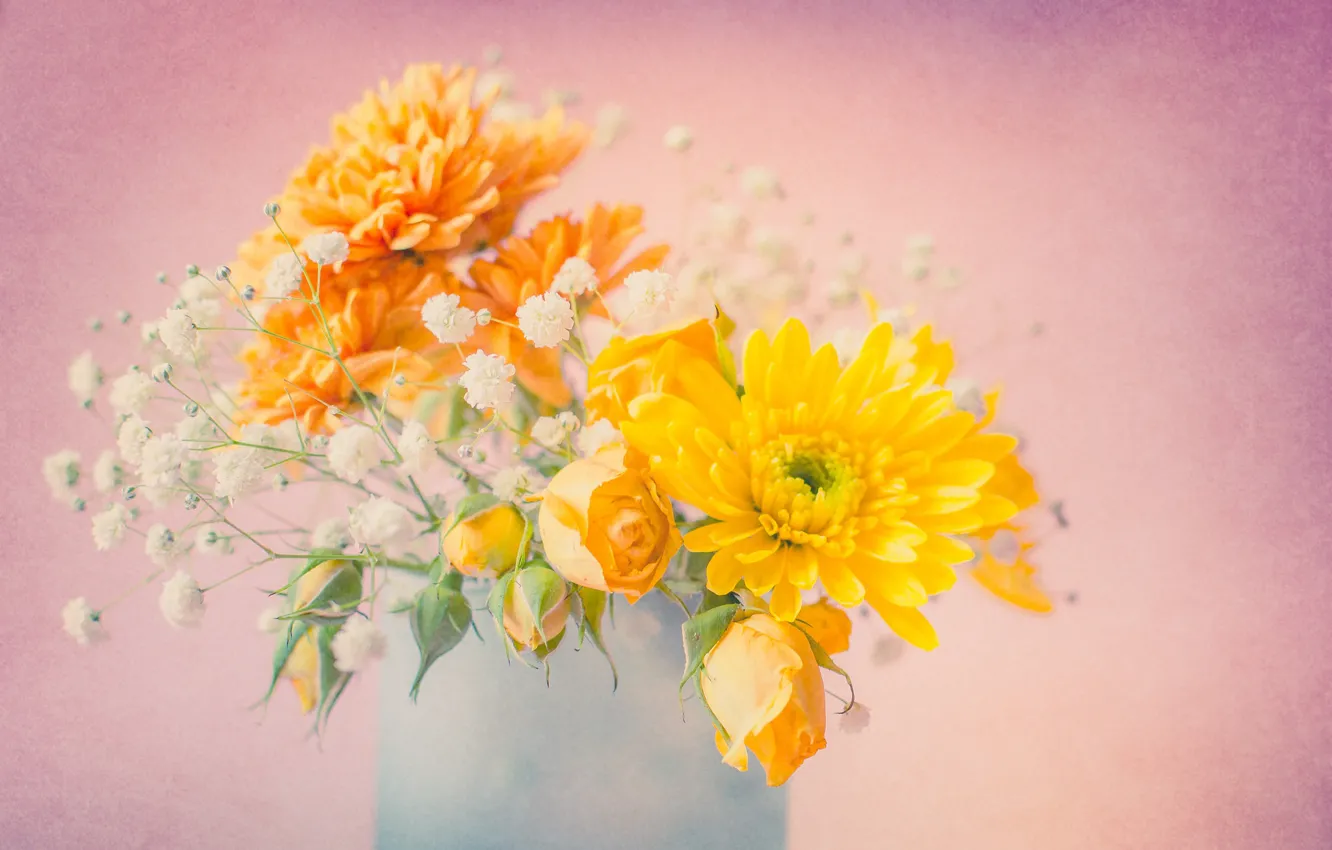 Photo wallpaper background, roses, bouquet, buds, chrysanthemum, gypsophila