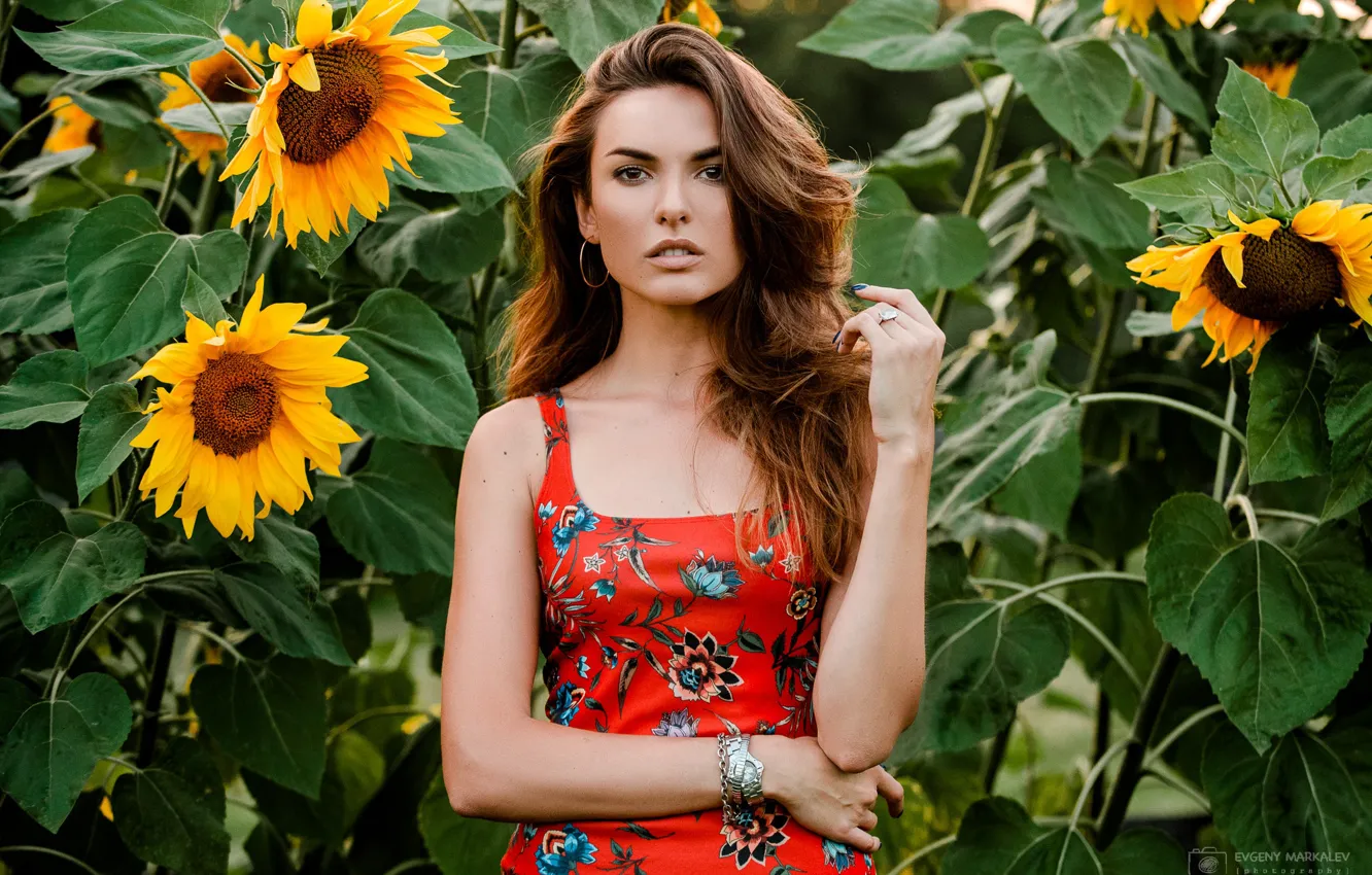 Photo wallpaper look, sunflowers, pose, background, model, portrait, makeup, Catherine