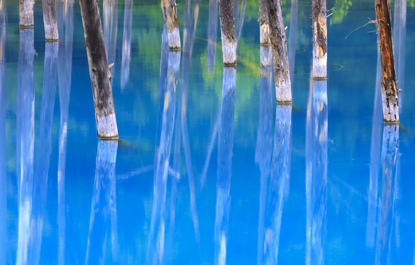 Photo wallpaper Japan, the island of Hokkaido, Biei, Blue pond
