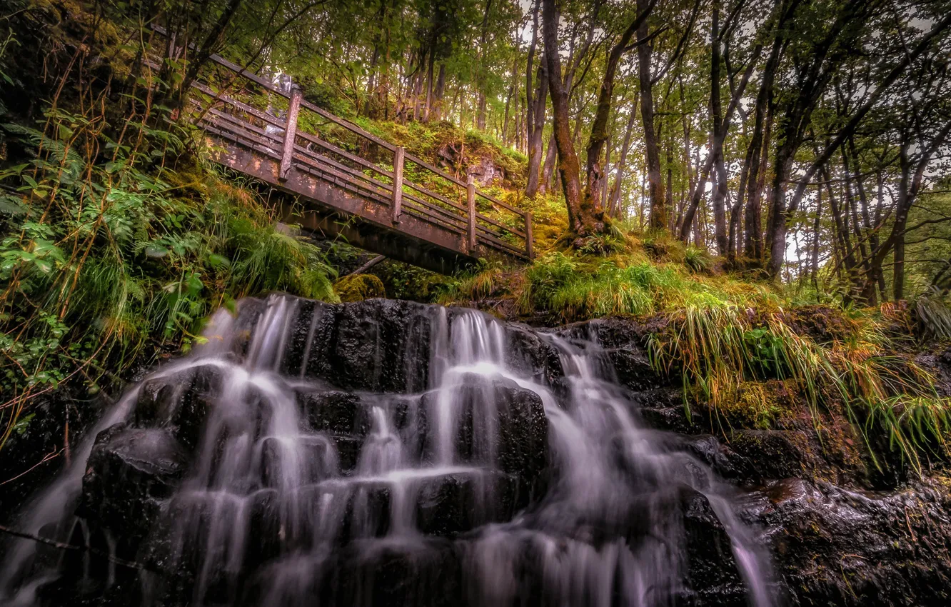 Photo wallpaper forest, bridge, rocks, waterfall, Wales, Ystradfellte