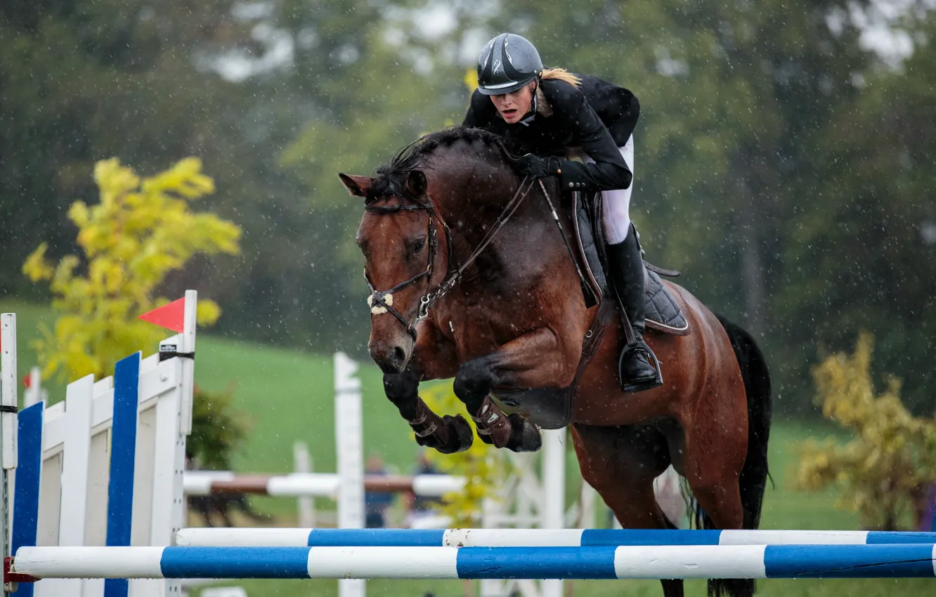 Photo wallpaper horse, jump, sport