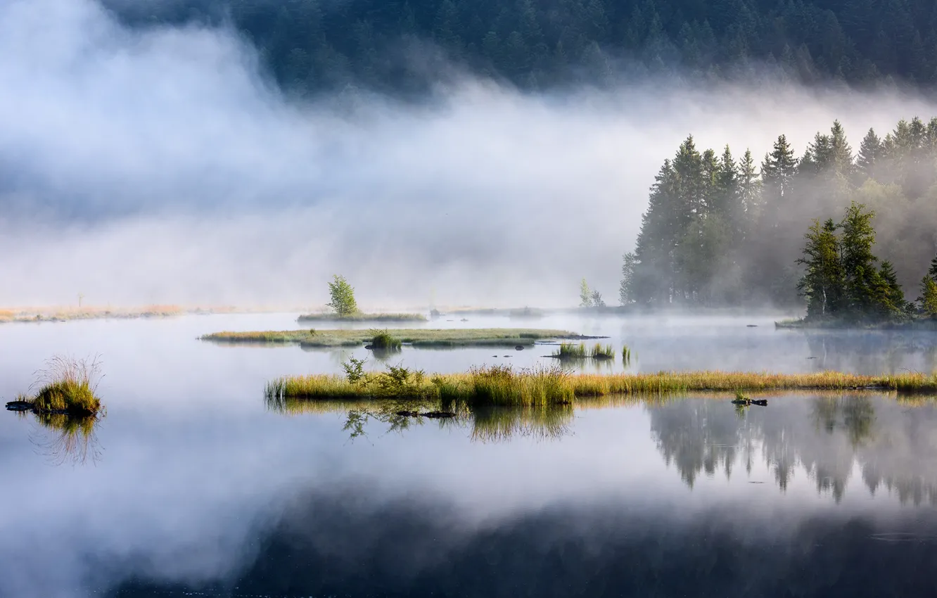Photo wallpaper water, trees, island, pond, Lispach