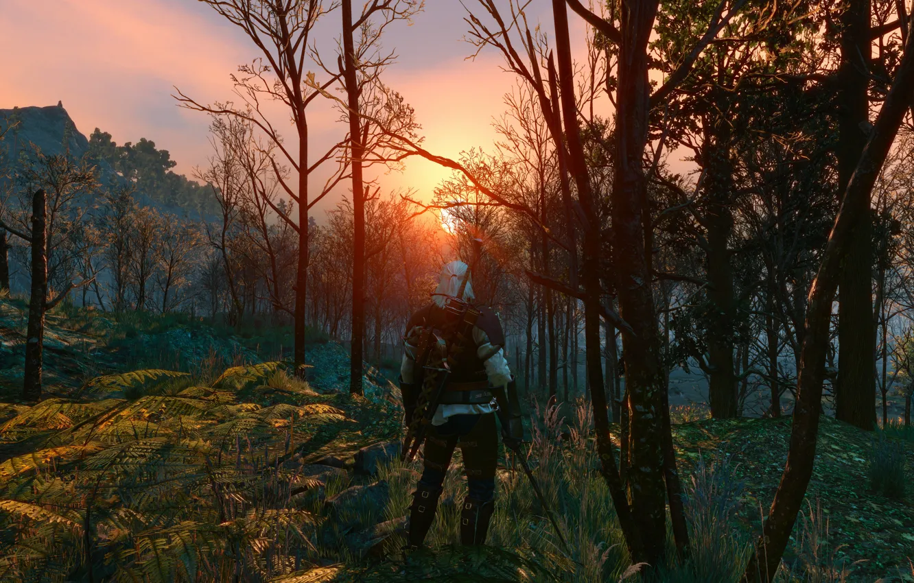 Photo wallpaper sword, warrior, armor, The Witcher, The Witcher, Geralt, CD Projekt RED, The Witcher 3: Wild …