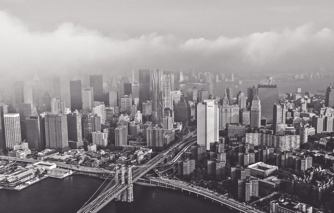 Photo wallpaper bridge, skyscrapers, black and white, megapolis