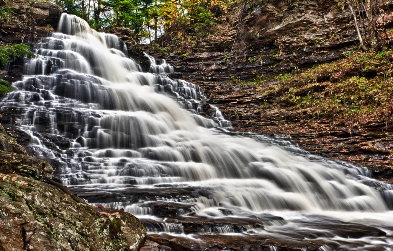 Photo wallpaper waterfall, Pennsylvania, Ricketts Glen State Park