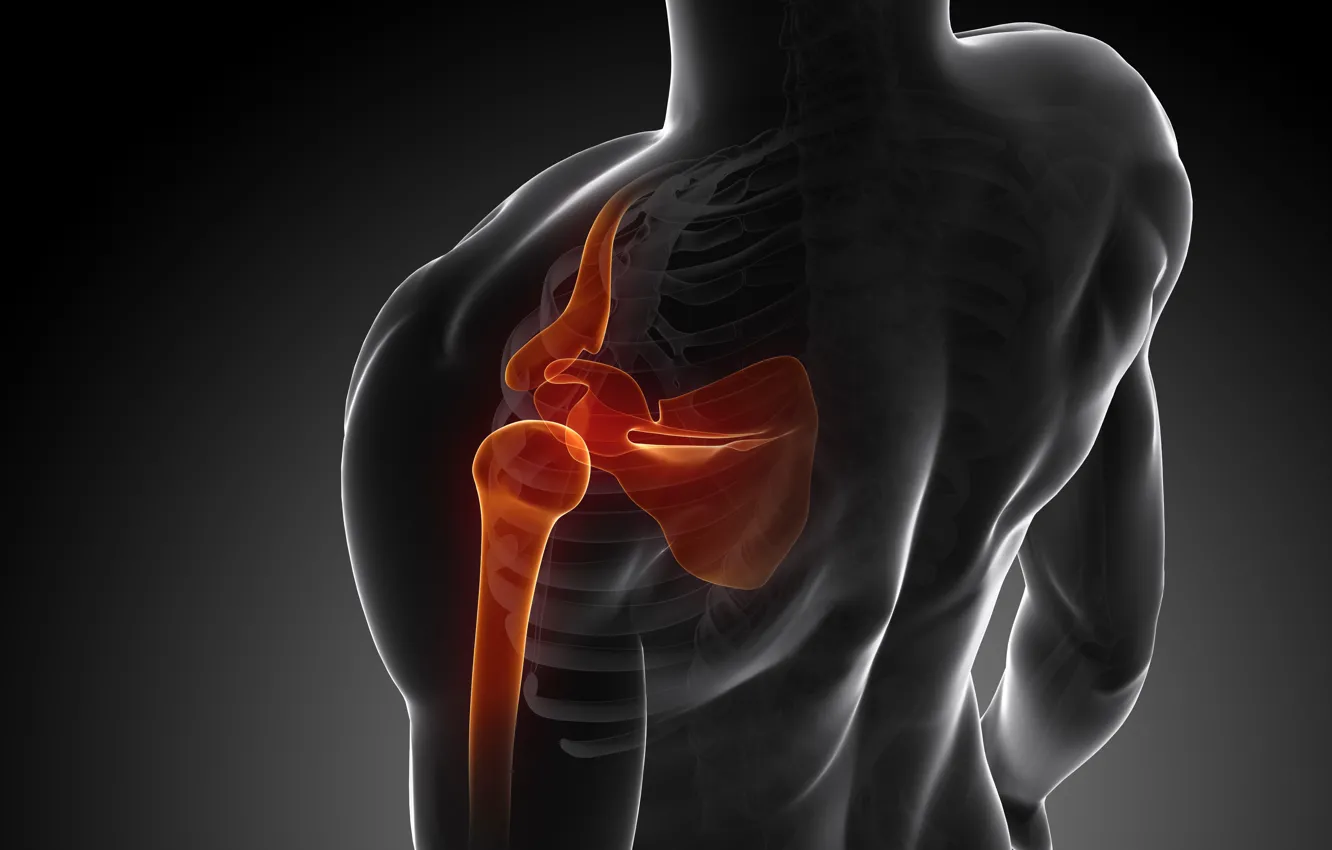 Photo wallpaper pain, shoulder, joint