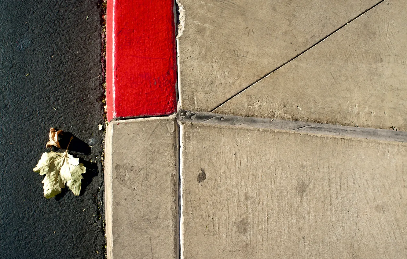Photo wallpaper asphalt, leaves, line, the curb