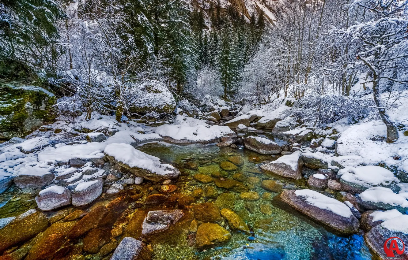 Photo wallpaper winter, forest, snow, trees, river
