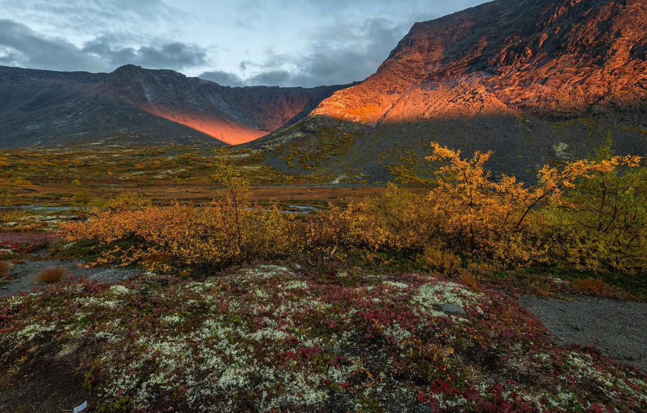 Photo wallpaper autumn, light, mountains, slope, the bushes