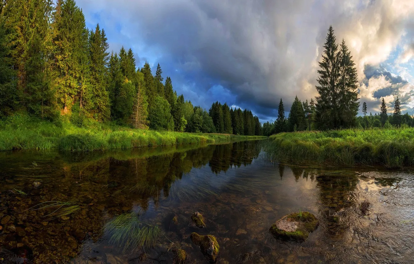 Photo wallpaper forest, the sky, grass, trees, landscape, clouds, nature, river