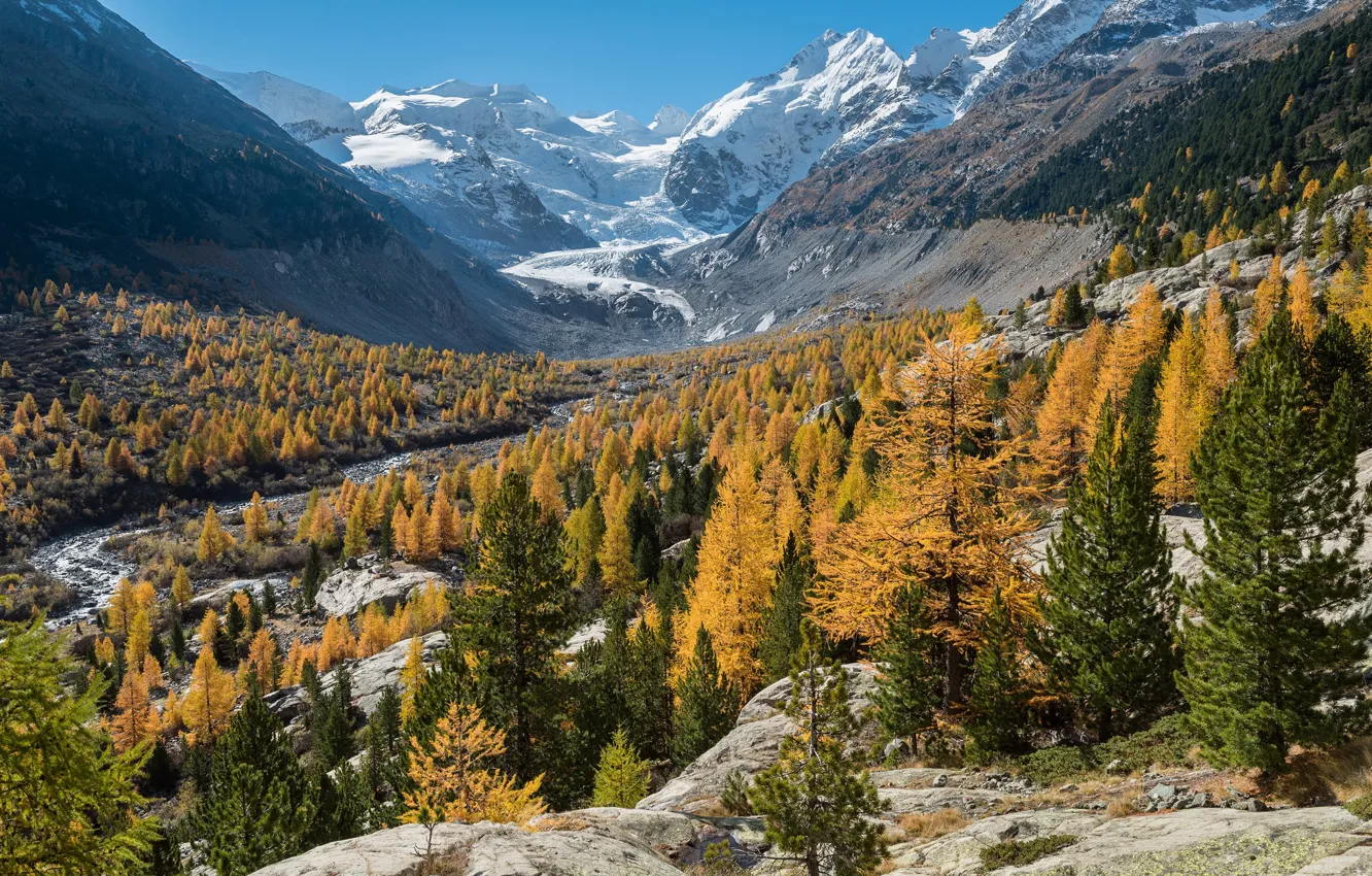 Photo wallpaper autumn, forest, mountains, Switzerland, Graubünden