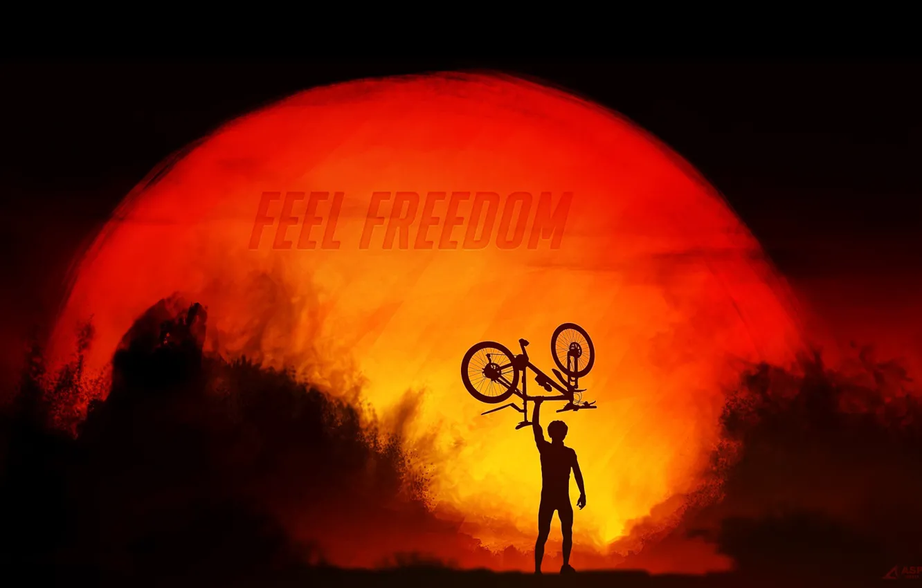 Photo wallpaper freedom, the sun, sunset, bike, sport, silhouette, cyclist, sport