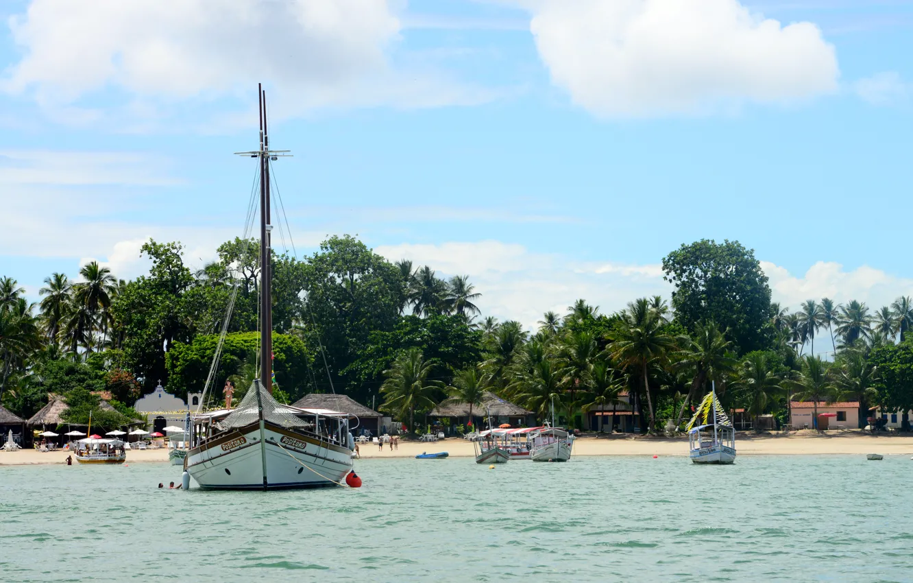 Photo wallpaper nature, Brazil, Bahia, South American