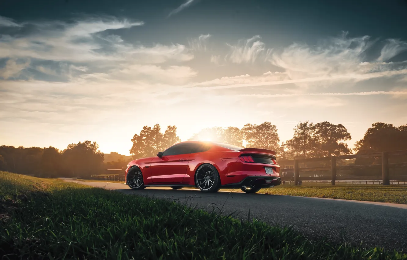 Photo wallpaper sunset, Mustang, Ford, 2018, Mustang GT, by Jimmy Zhang