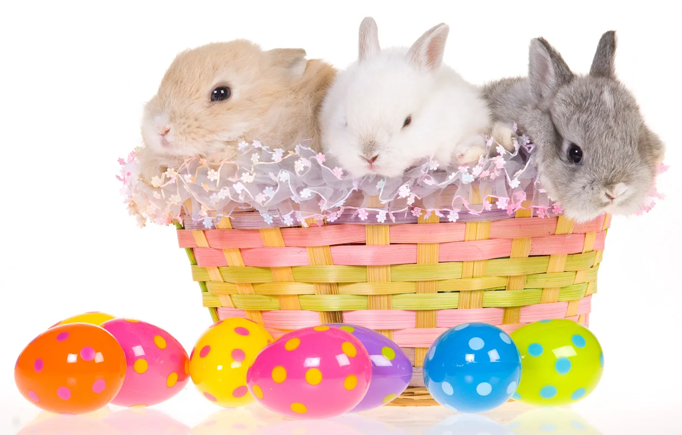 Photo wallpaper basket, egg, Easter, rabbits, easter