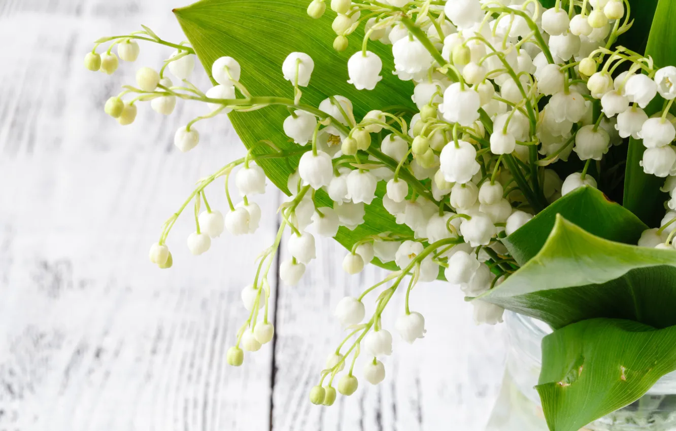 Photo wallpaper flowers, bouquet, spring, lilies of the valley