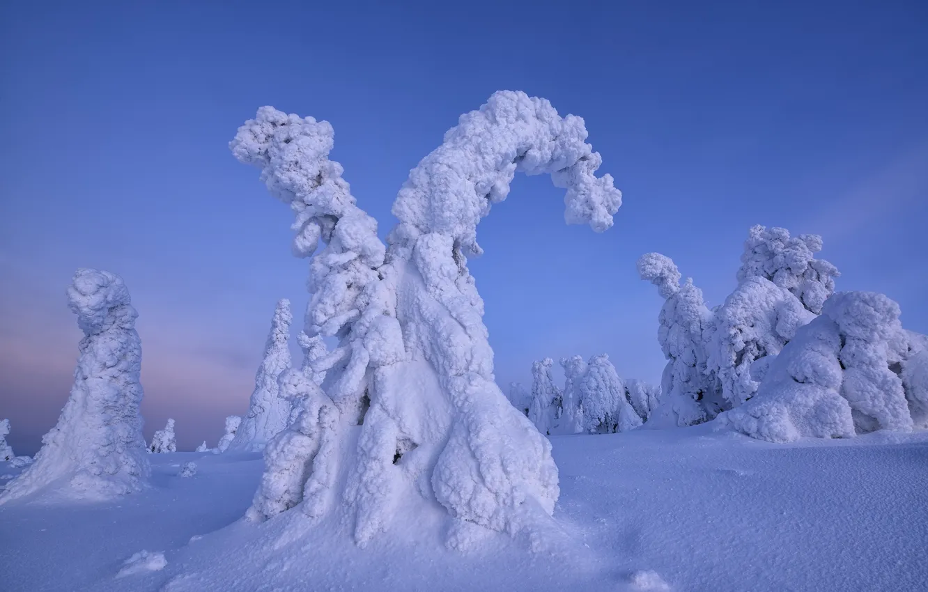 Photo wallpaper winter, snow, trees, nature, ate, Finland, Maxim Evdokimov