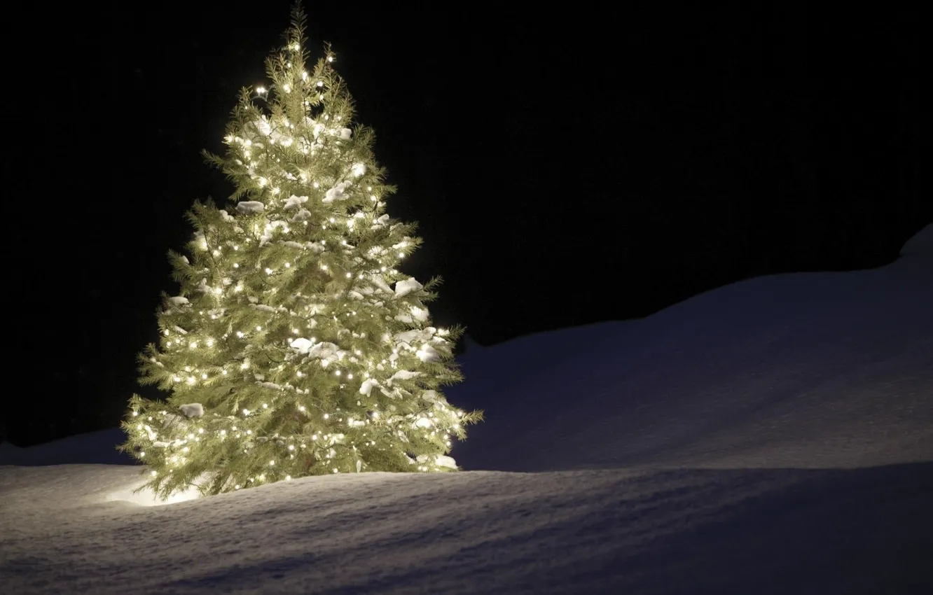 Photo wallpaper snow, night, tree