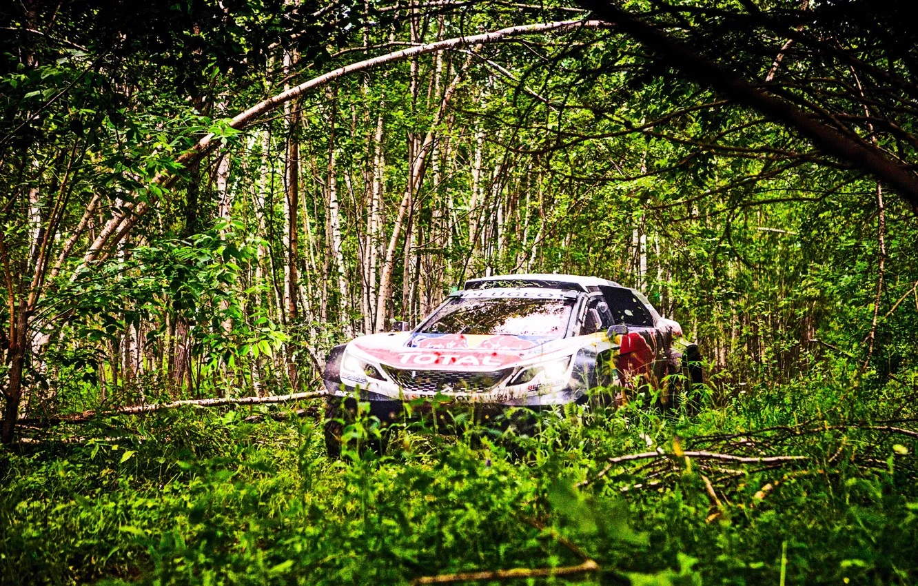 Photo wallpaper Trees, Forest, Sport, Race, Peugeot, Lights, Red Bull, Rally