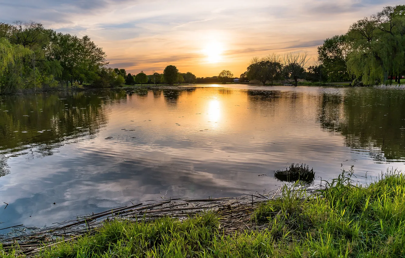 Photo wallpaper summer, the sky, grass, the sun, clouds, trees, sunset, lake