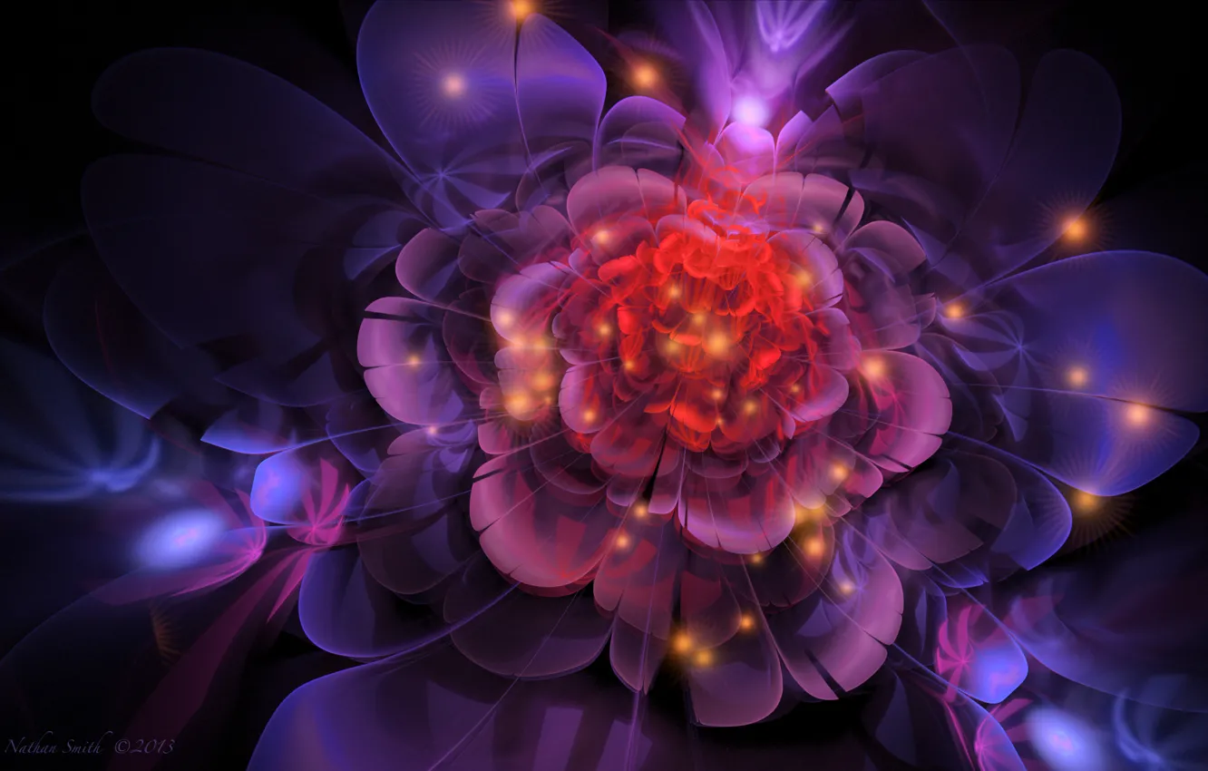 Photo wallpaper flower, line, abstraction, lights