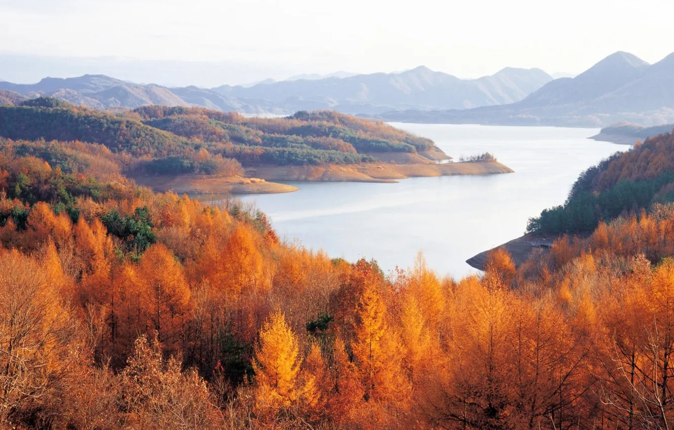 Photo wallpaper autumn, trees, mountains, river, horizon