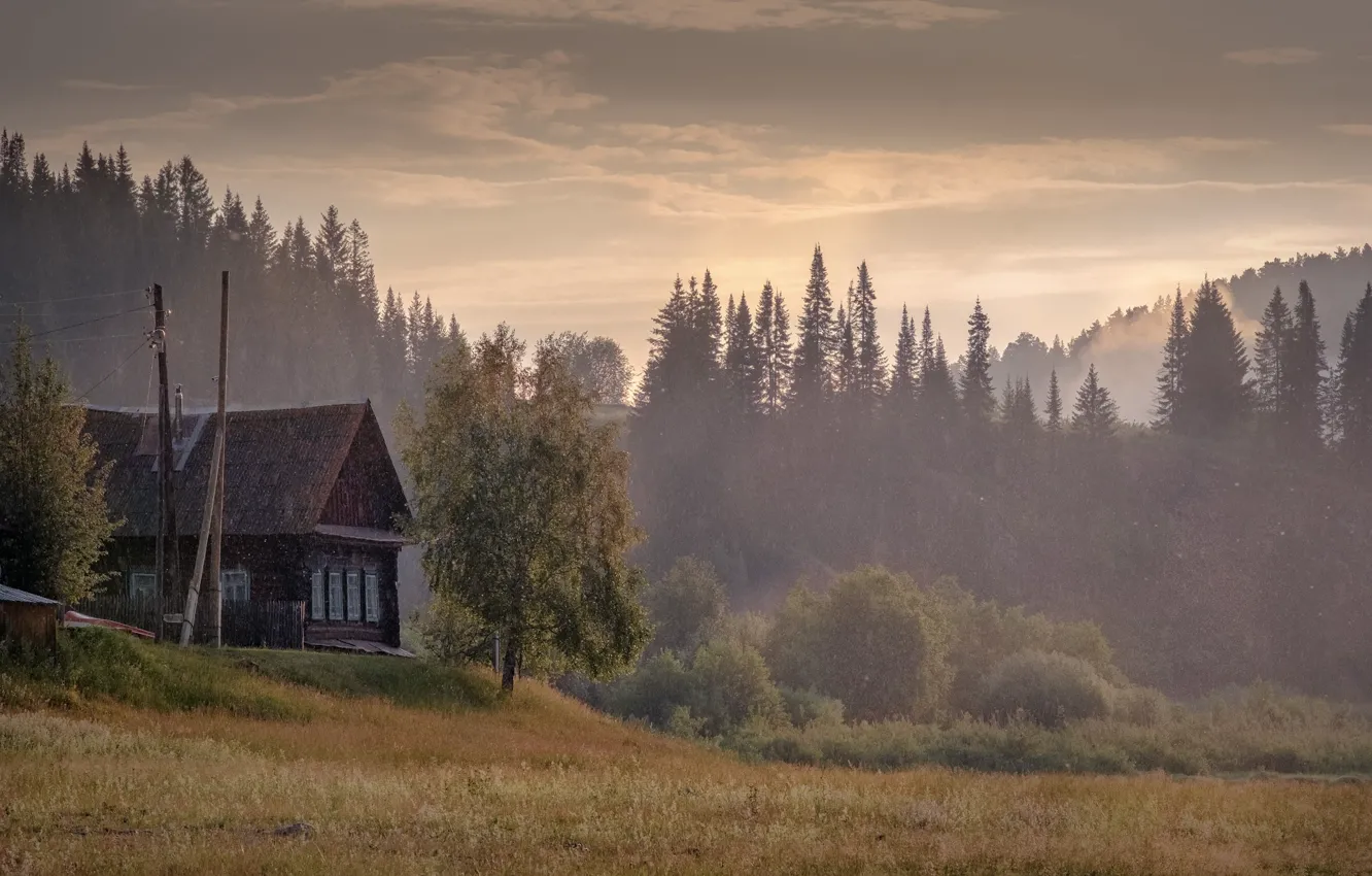 Photo wallpaper field, autumn, forest, the sky, clouds, light, trees, fog