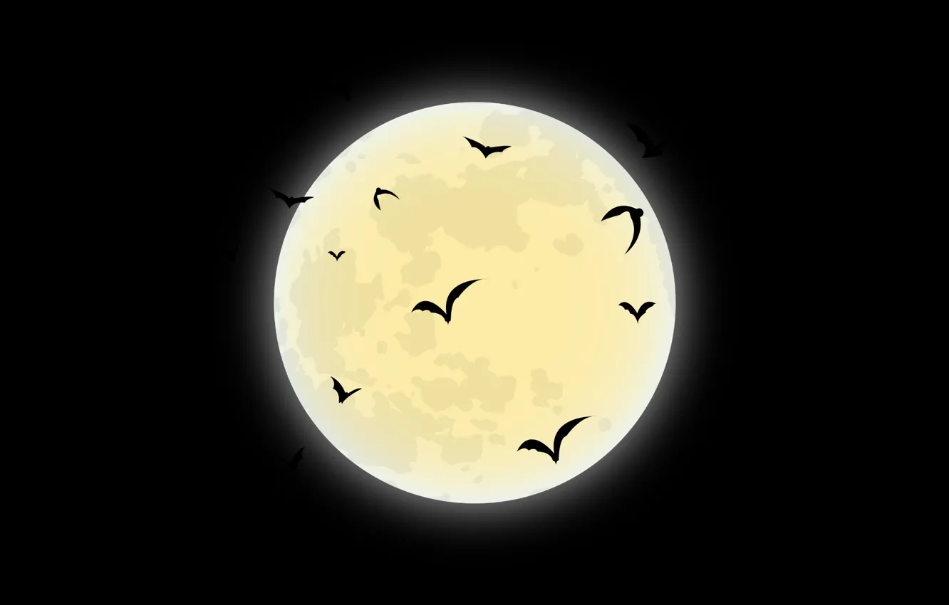 Photo wallpaper night, Wallpaper, the moon, wallpaper, moon, bats, picture, black background