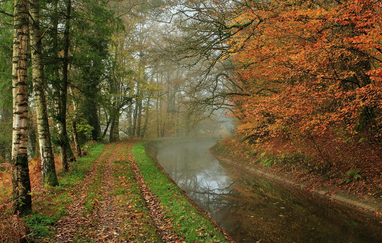 Photo wallpaper autumn, Park, river