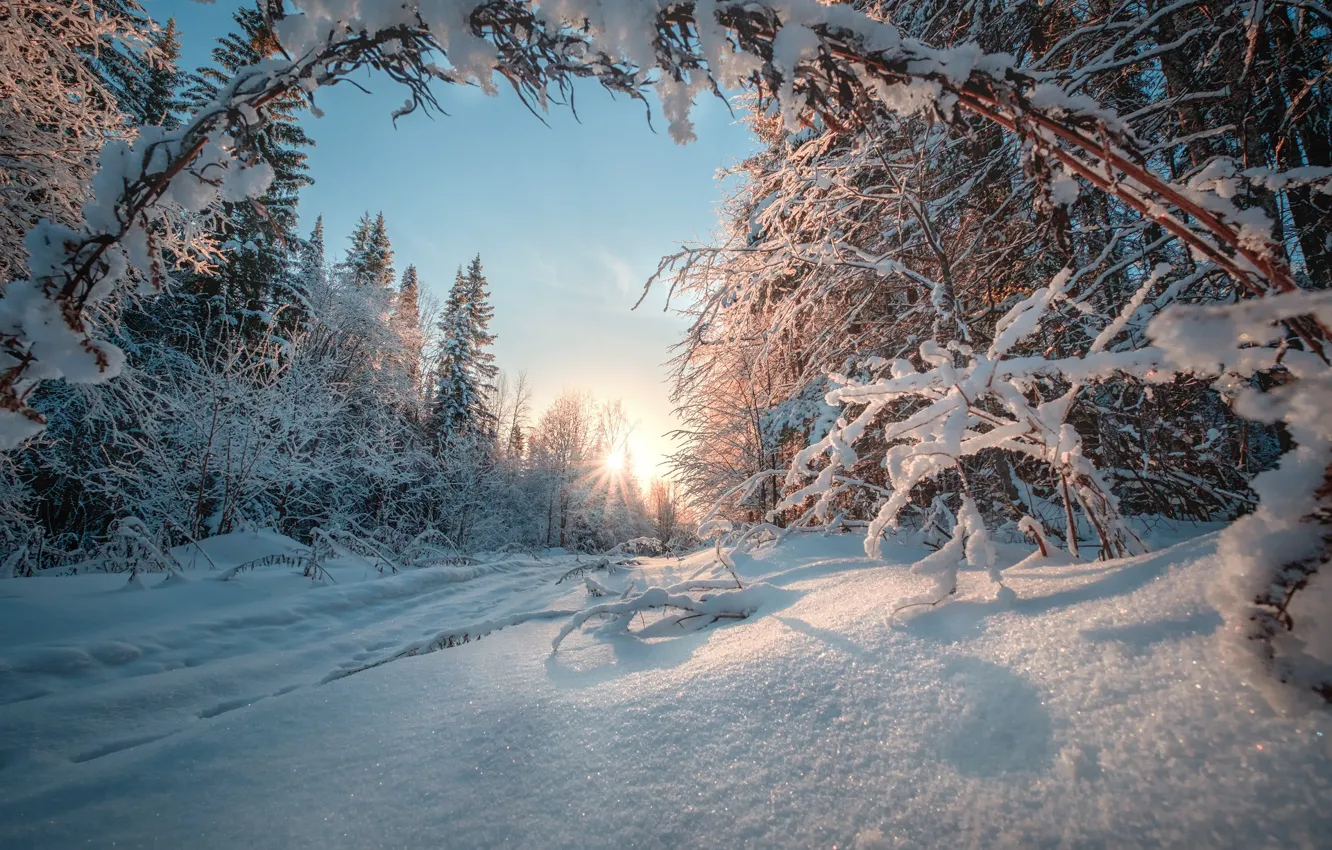Photo wallpaper winter, road, forest, snow, Russia, Ural