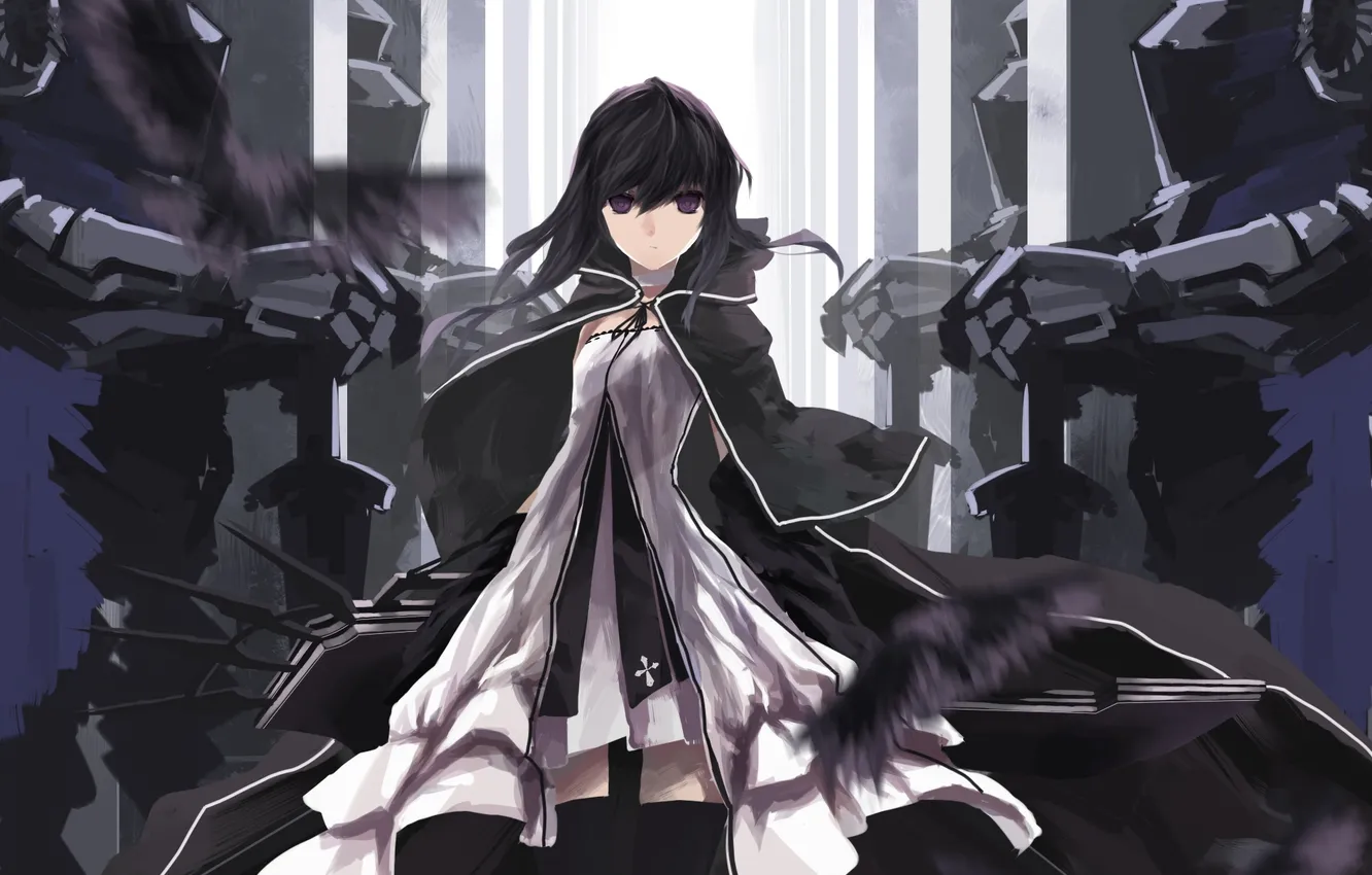 Photo wallpaper girl, bird, anime, art, armor, cloak, Raven, swd3e2