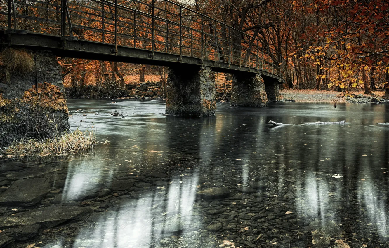 Photo wallpaper bridge, nature, river