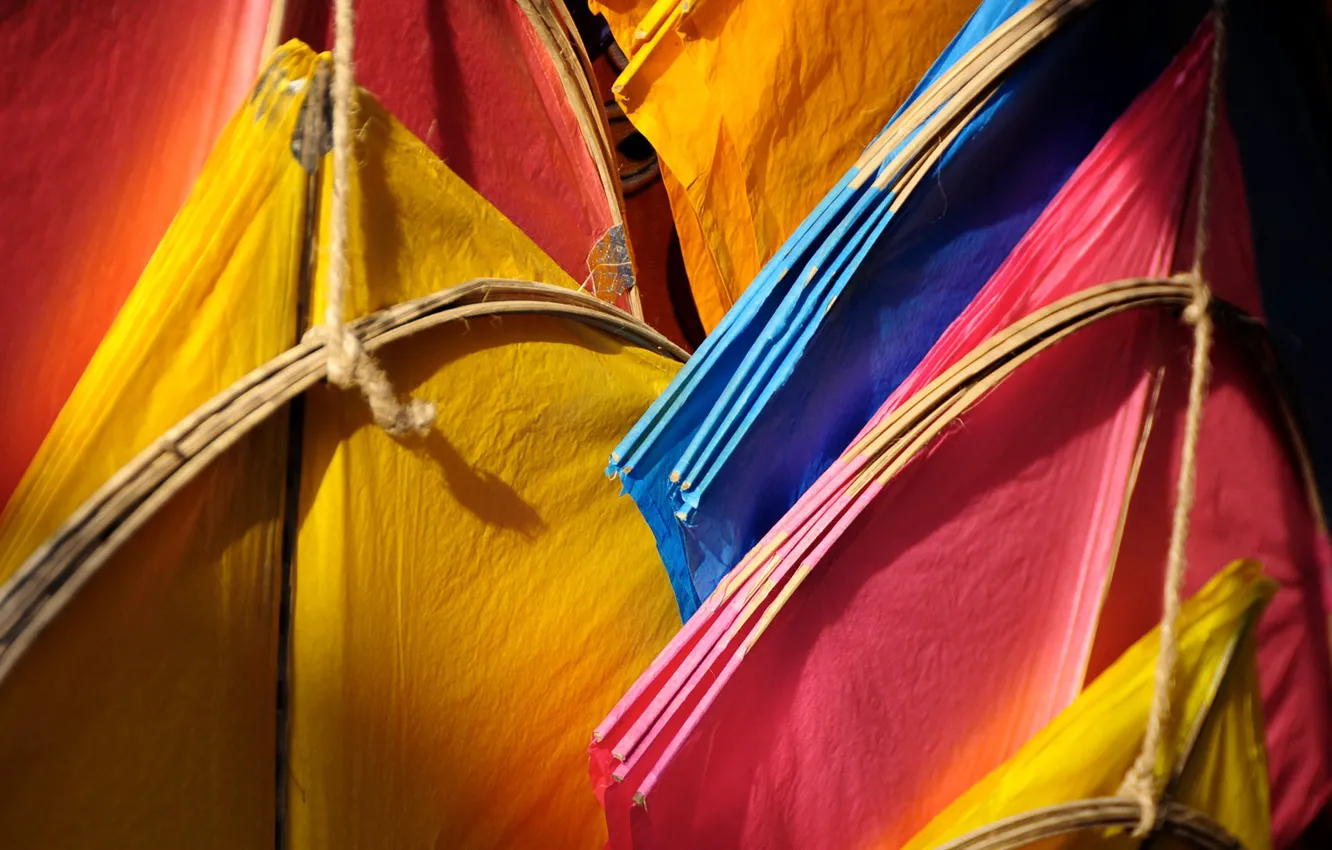 Photo wallpaper paint, India, kite, entertainment, leisure, Raipur, Ahmedabad