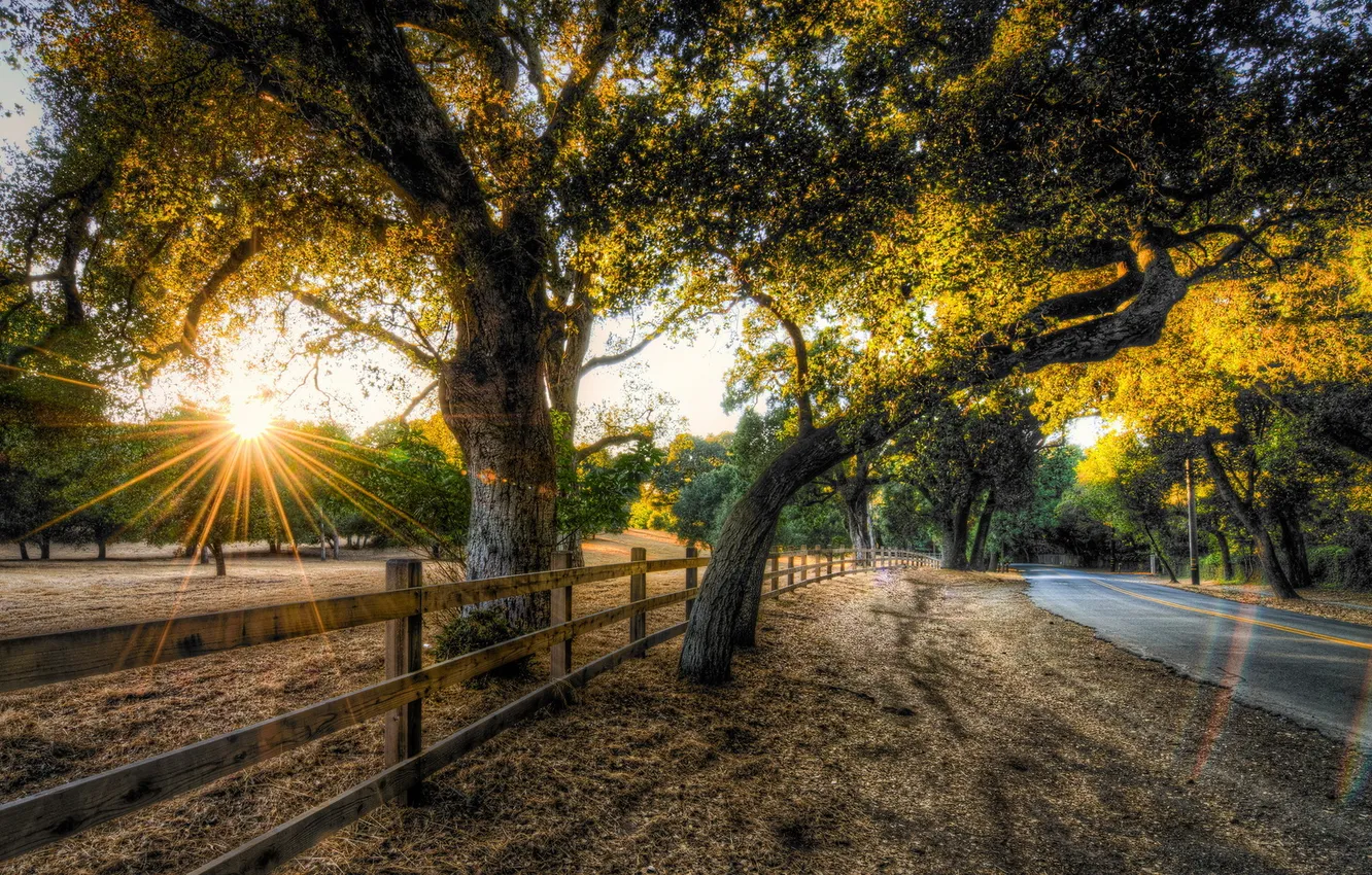 Photo wallpaper road, landscape, the fence