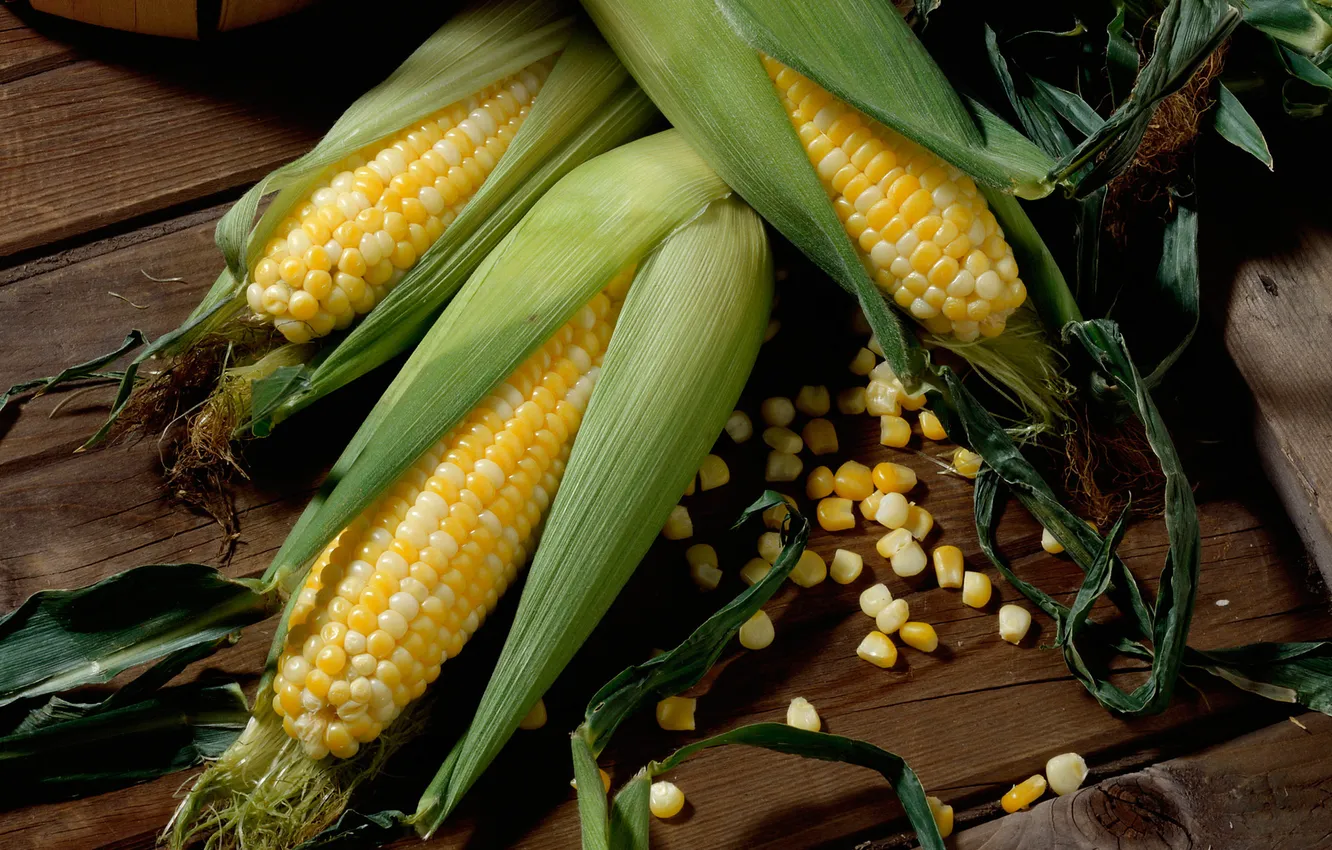 Photo wallpaper greens, corn, floor, wooden