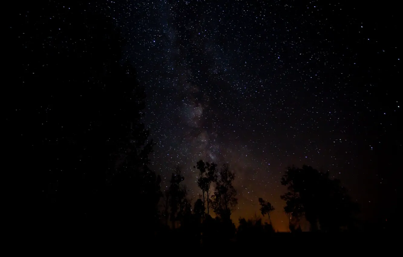Photo wallpaper space, stars, trees, night, space, the milky way