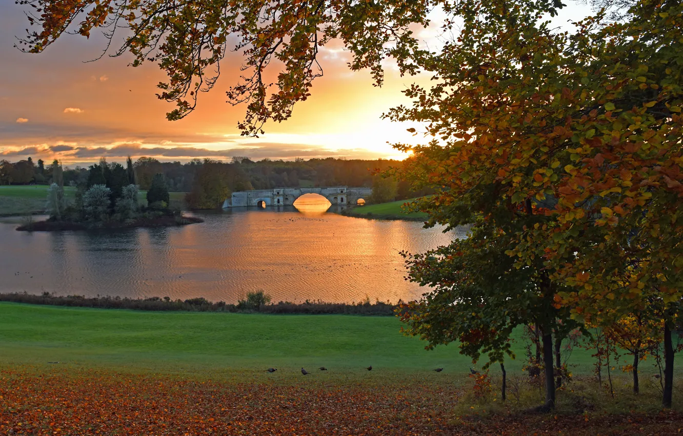 Photo wallpaper autumn, trees, sunset, branches, bridge, shore, foliage, arch