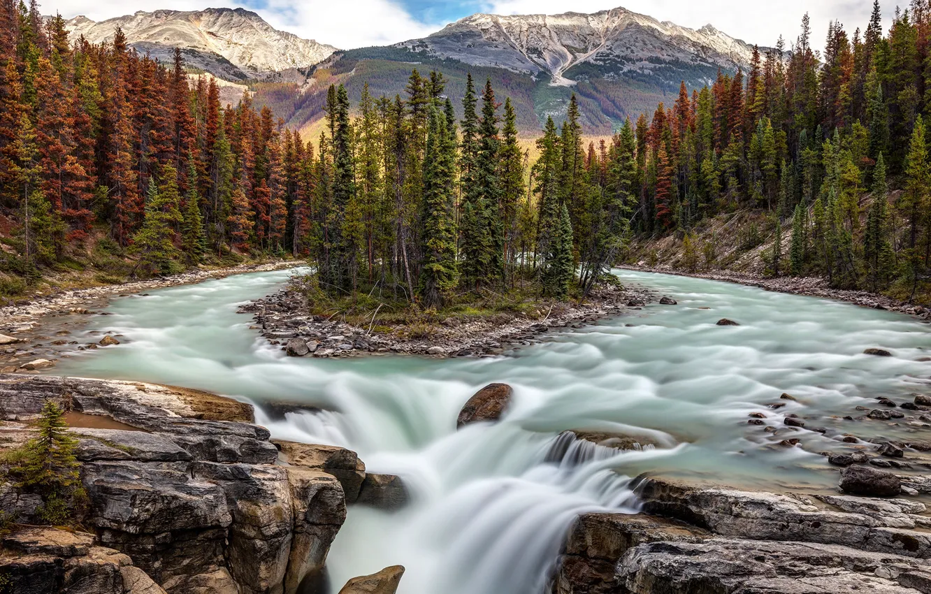 Photo wallpaper forest, trees, river, waterfall, Canada, Albert, Alberta, Canada
