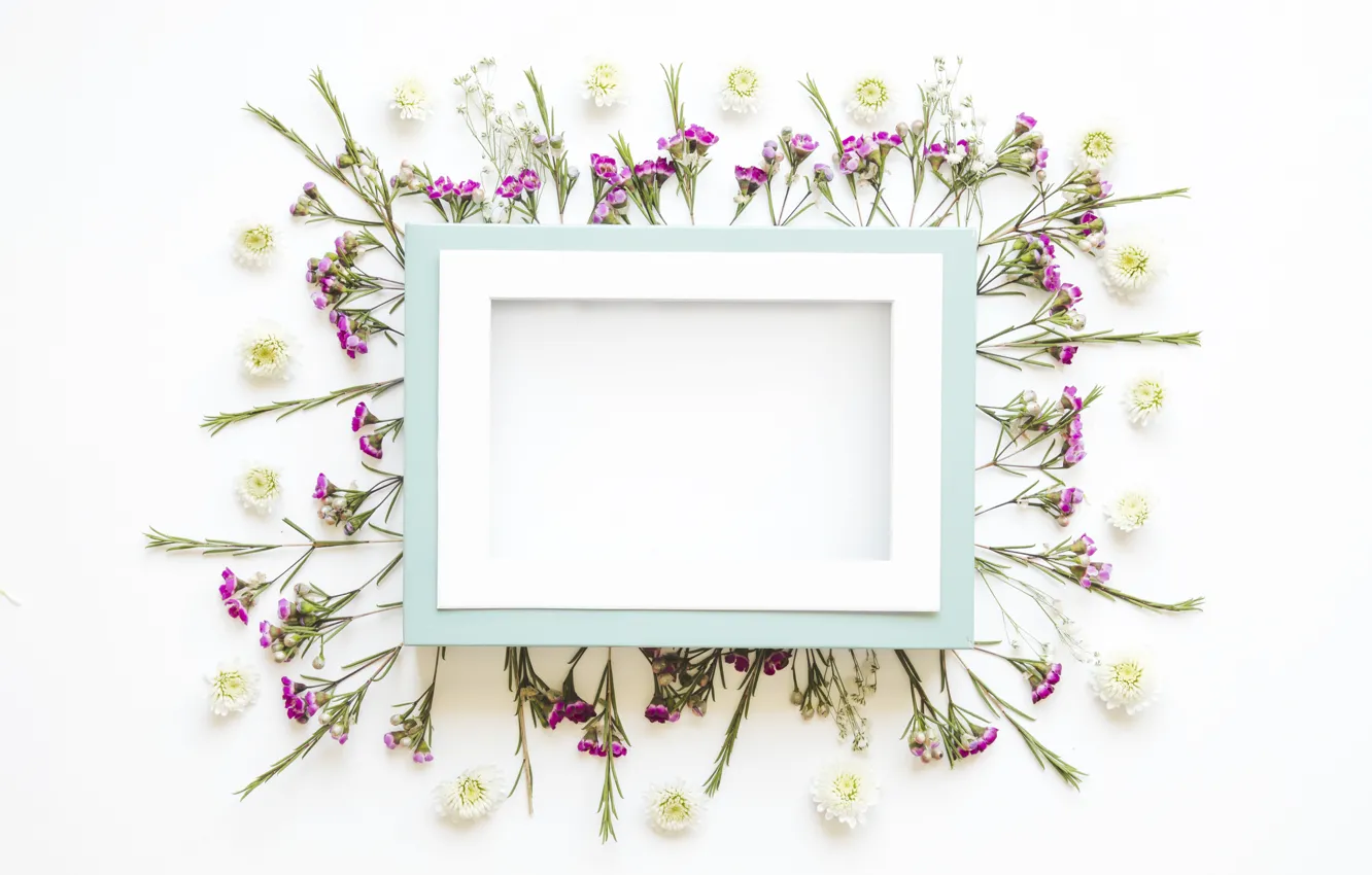 Photo wallpaper flowers, frame, petals, flowers, decor, decoration, frame