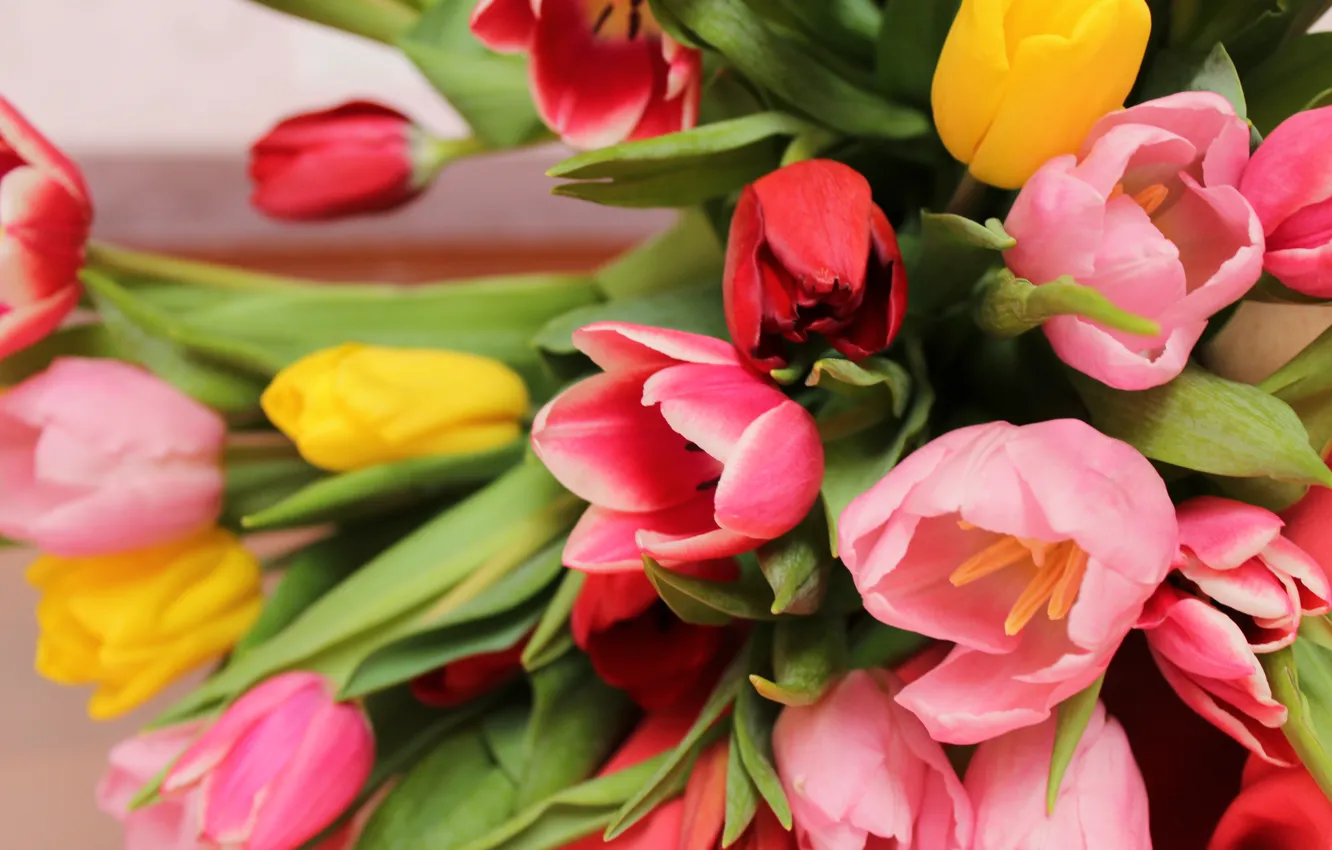 Photo wallpaper Flowers, bouquet, tulips