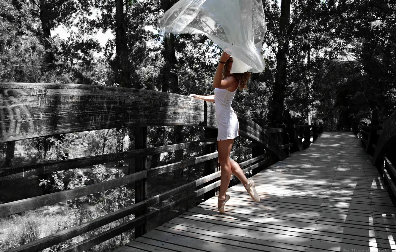 Photo wallpaper girl, bridge, Park