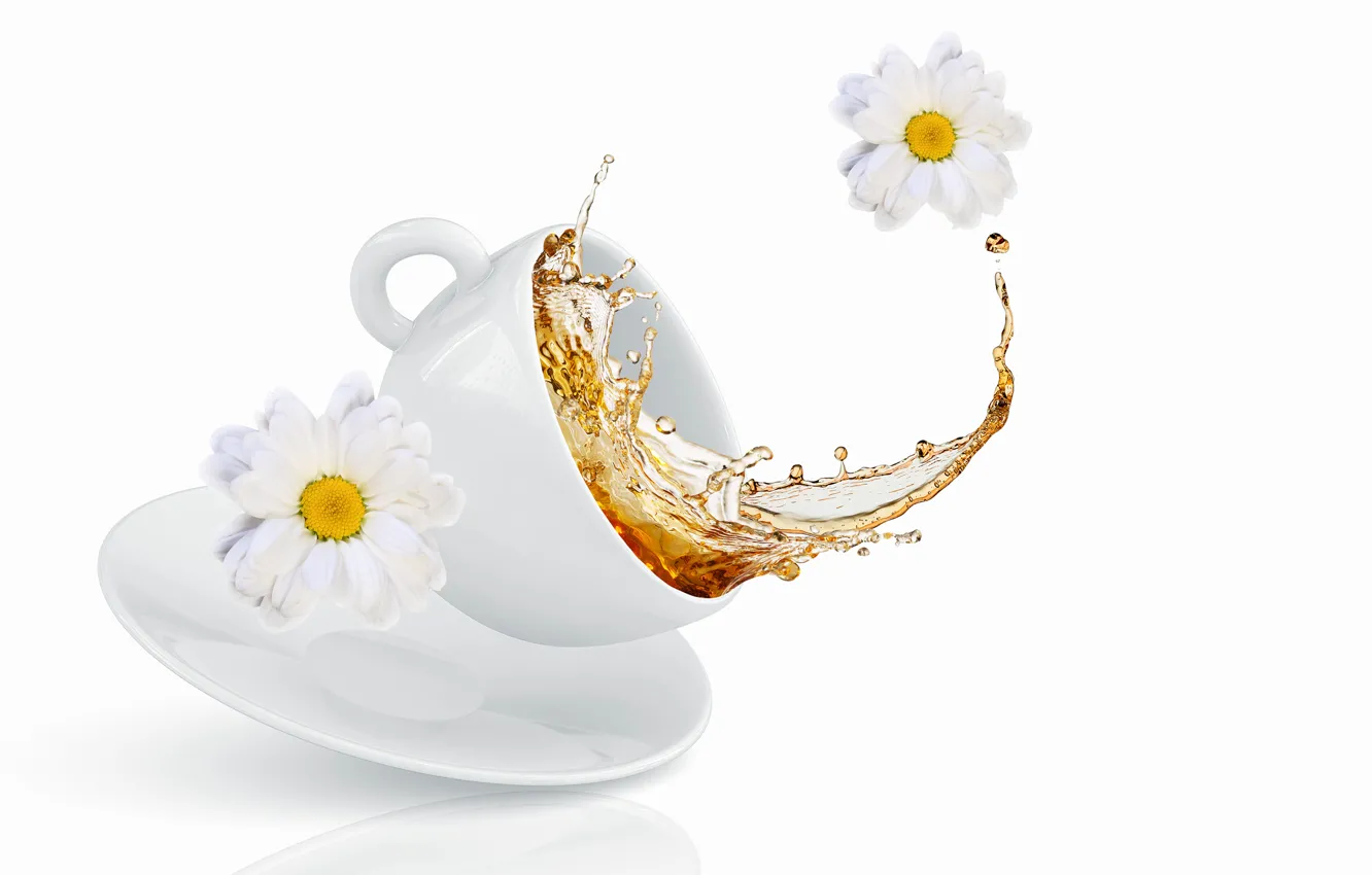 Photo wallpaper flowers, squirt, tea, Cup, chrysanthemum, flowers, Cup, tea