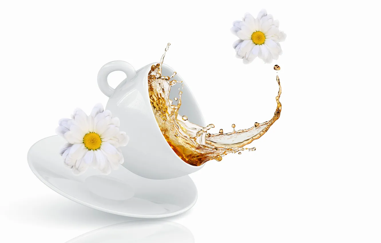 Photo wallpaper flowers, squirt, tea, Cup, chrysanthemum, flowers, cup, tea
