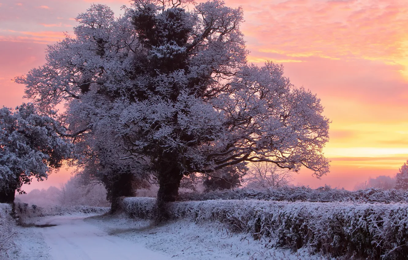 Photo wallpaper winter, road, sunset