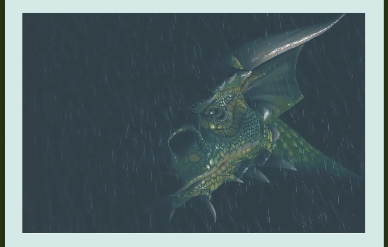 Photo wallpaper look, dragon, picture, art, fantasy, fantasy, poster, art