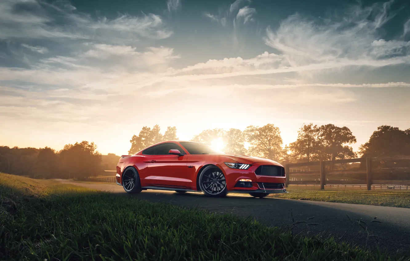 Photo wallpaper sunset, Mustang, Ford, 2018, Mustang GT, by Jimmy Zhang
