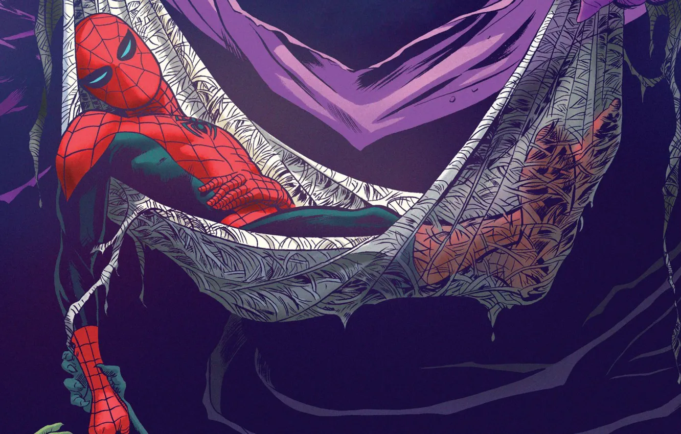 Photo wallpaper stay, sleep, spider man, peter parker