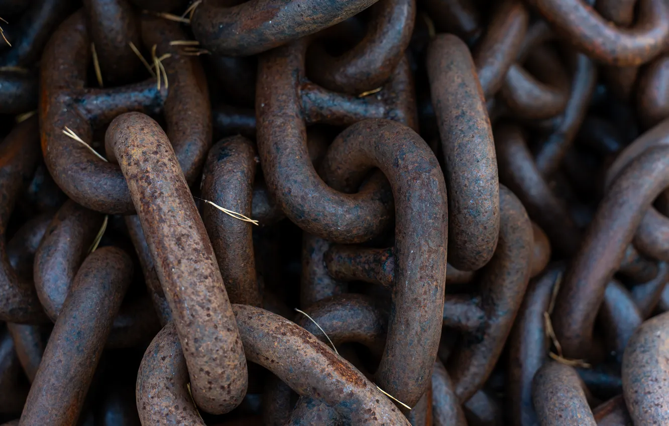 Photo wallpaper grass, rusty, chain, lies